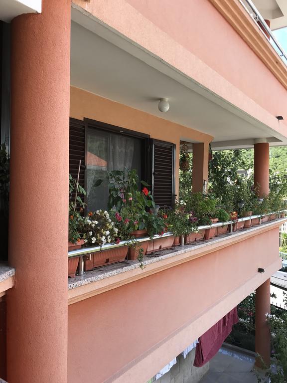 Apartments Zvicer - Milica Будва Экстерьер фото